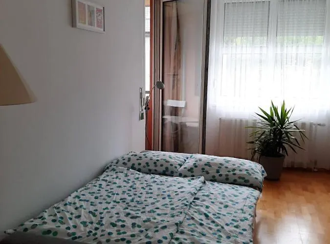 Max Thermal דירה